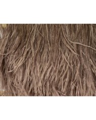 Deve Kuşu Tüyü Kahve 1 Metre