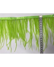 Deve Kuşu Tüyü Fıstık Yeşili 1 Metre