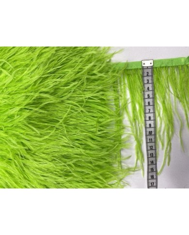 Deve Kuşu Tüyü Fıstık Yeşili 1 Metre