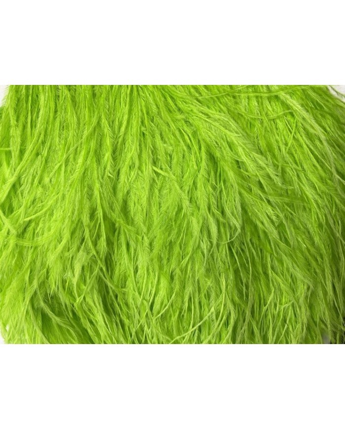 Deve Kuşu Tüyü Fıstık Yeşili 1 Metre