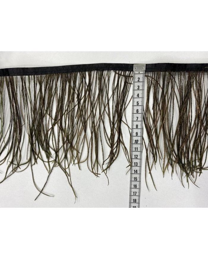 Deve Kuşu Tüyü Tavus Rengi 1 Metre