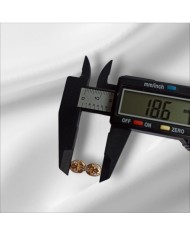 Zarif Çift Halkalı Taşlı Altın Takı Kapama - 7x18mm