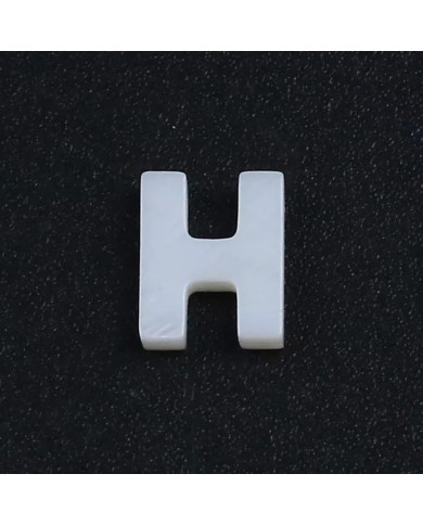 Doğal sedef taş Kolye Küpe Ucu - H HARF